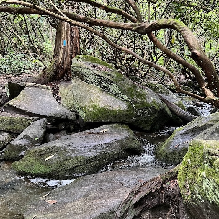 Rocky Stream